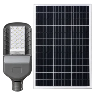 Đèn Đường Năng Lượng Mặt Trời ORIANA DB02-2 (60W)