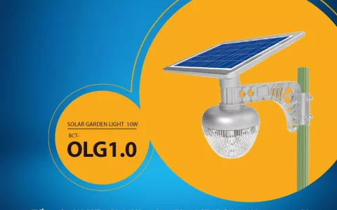 OLG 1.0