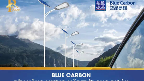 BLUE CARBON ĐÈN NĂNG LƯỢNG MẶT TRỜI CHO DỰ ÁN