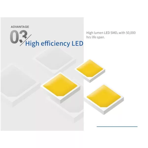 Đèn đường năng lượng mặt trời 80W Blue Carbon BCT-OLK3.0