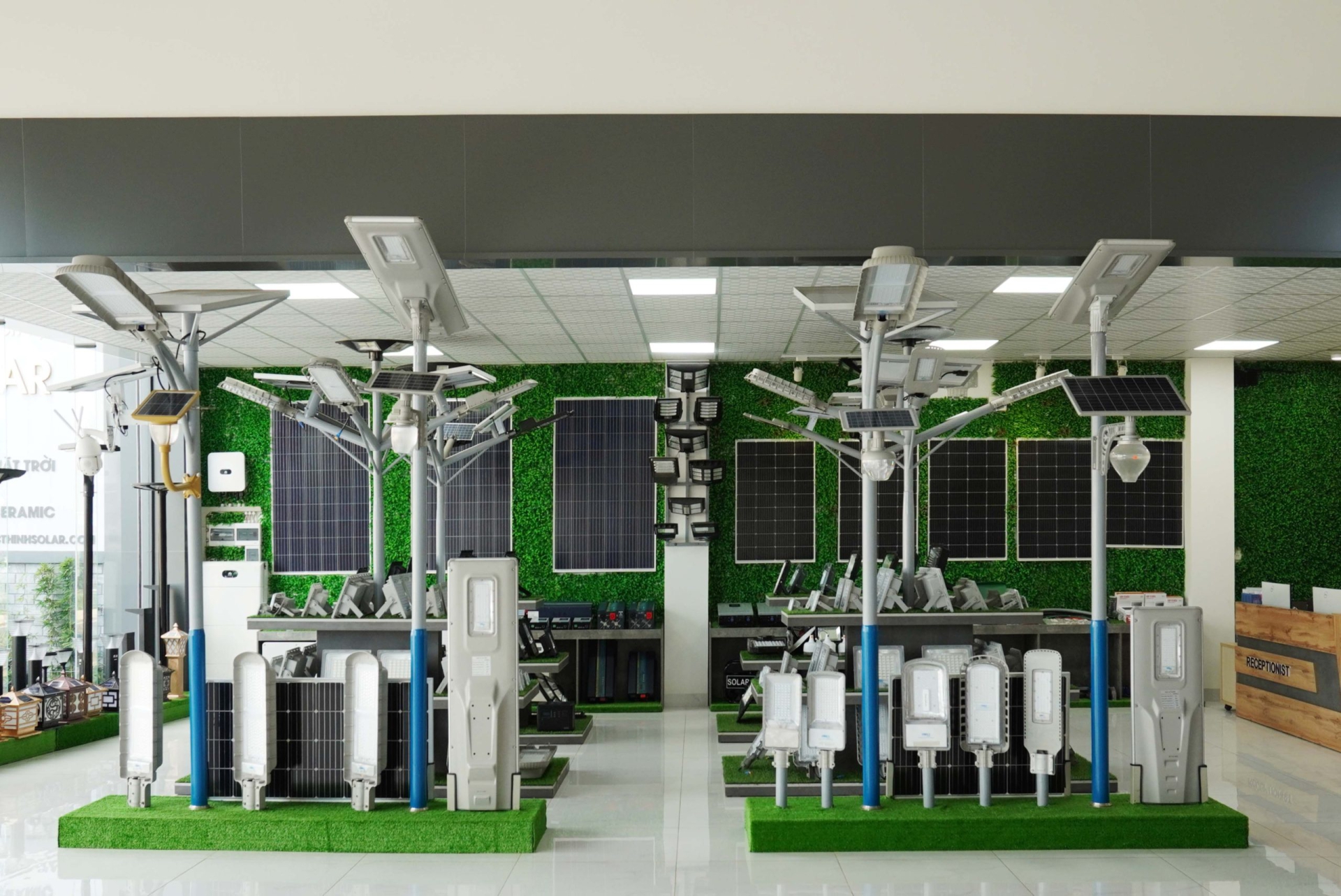 Lịch sử hình thành